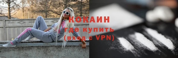 мет Касимов