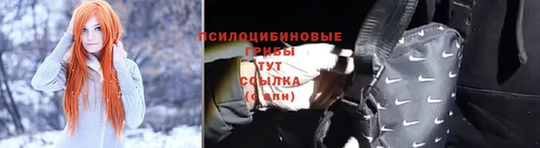 винт Карпинск