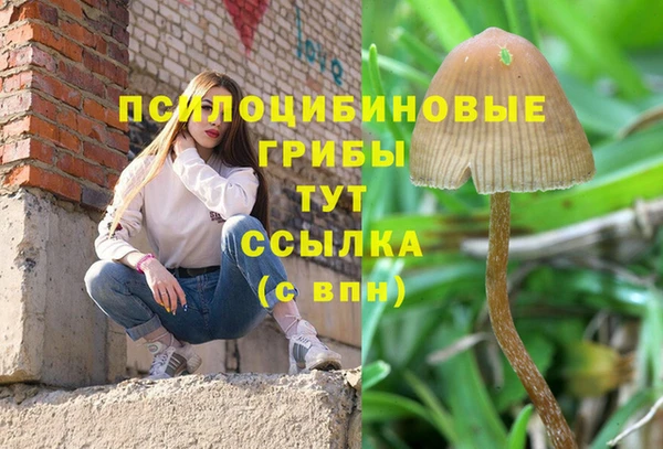 винт Карпинск