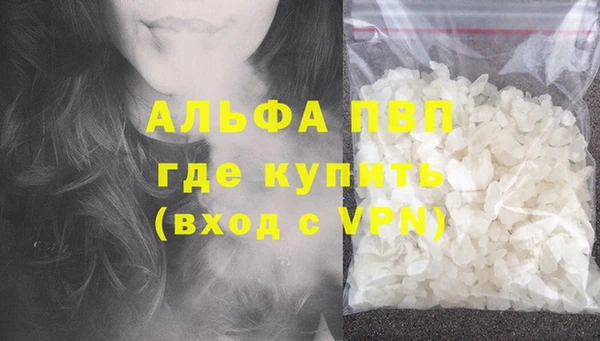 мет Касимов