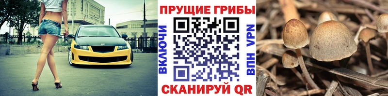 Галлюциногенные грибы ЛСД  Купить  Видное 